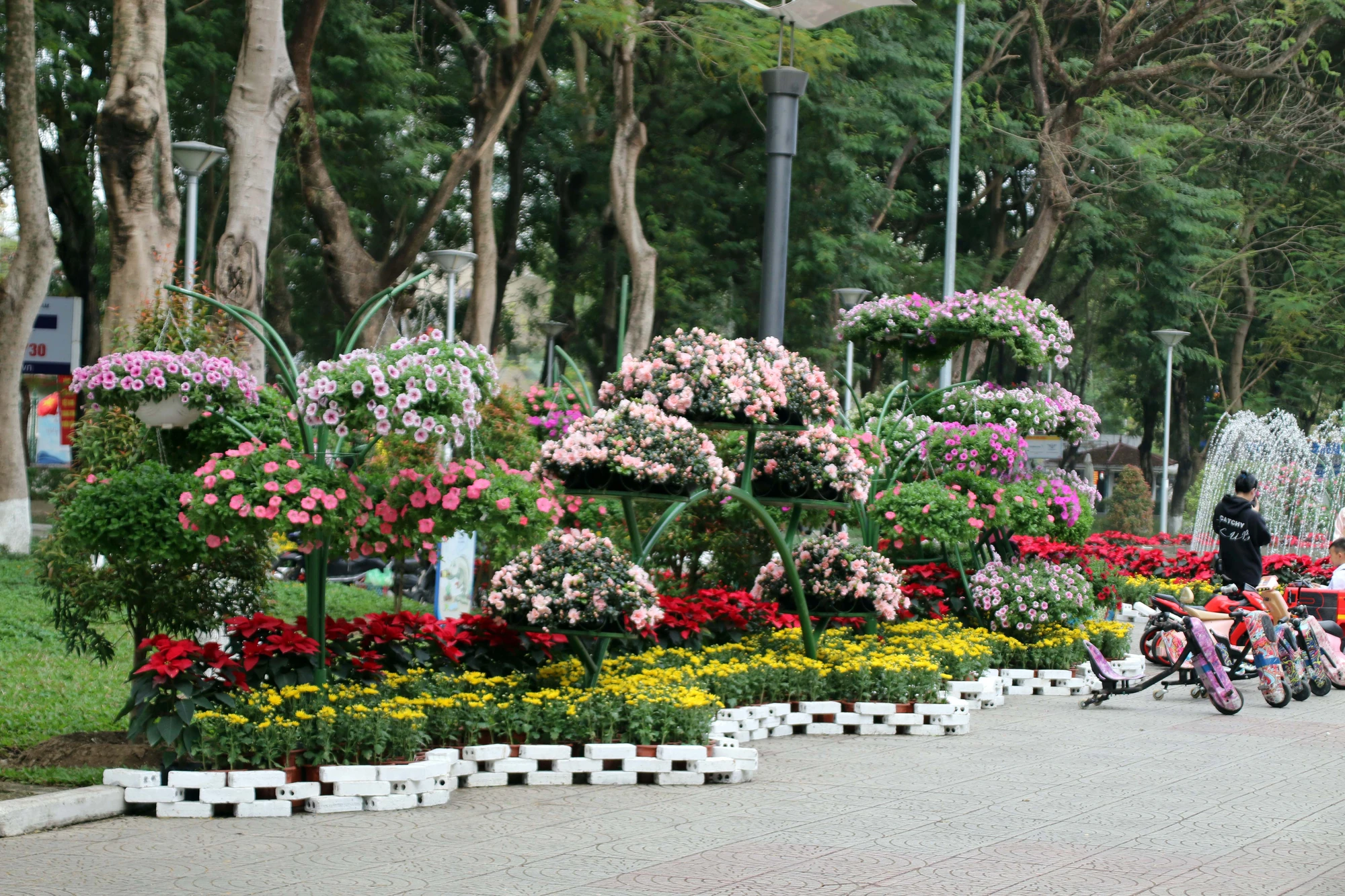 nguoi-dan-hai-phong-no-nuc-check-in-tai-dai-vuon-hoa-trung-tam-thanh-pho-7.JPG