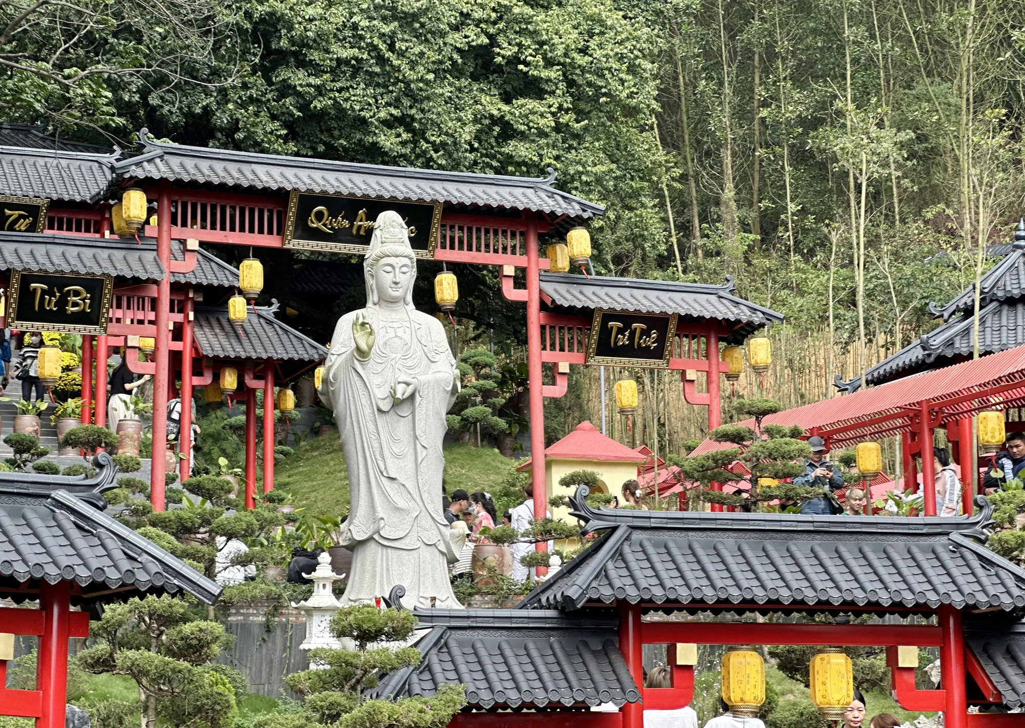 bien-nguoi-do-xo-len-chua-cay-thi-de-chup-anh-13.jpg