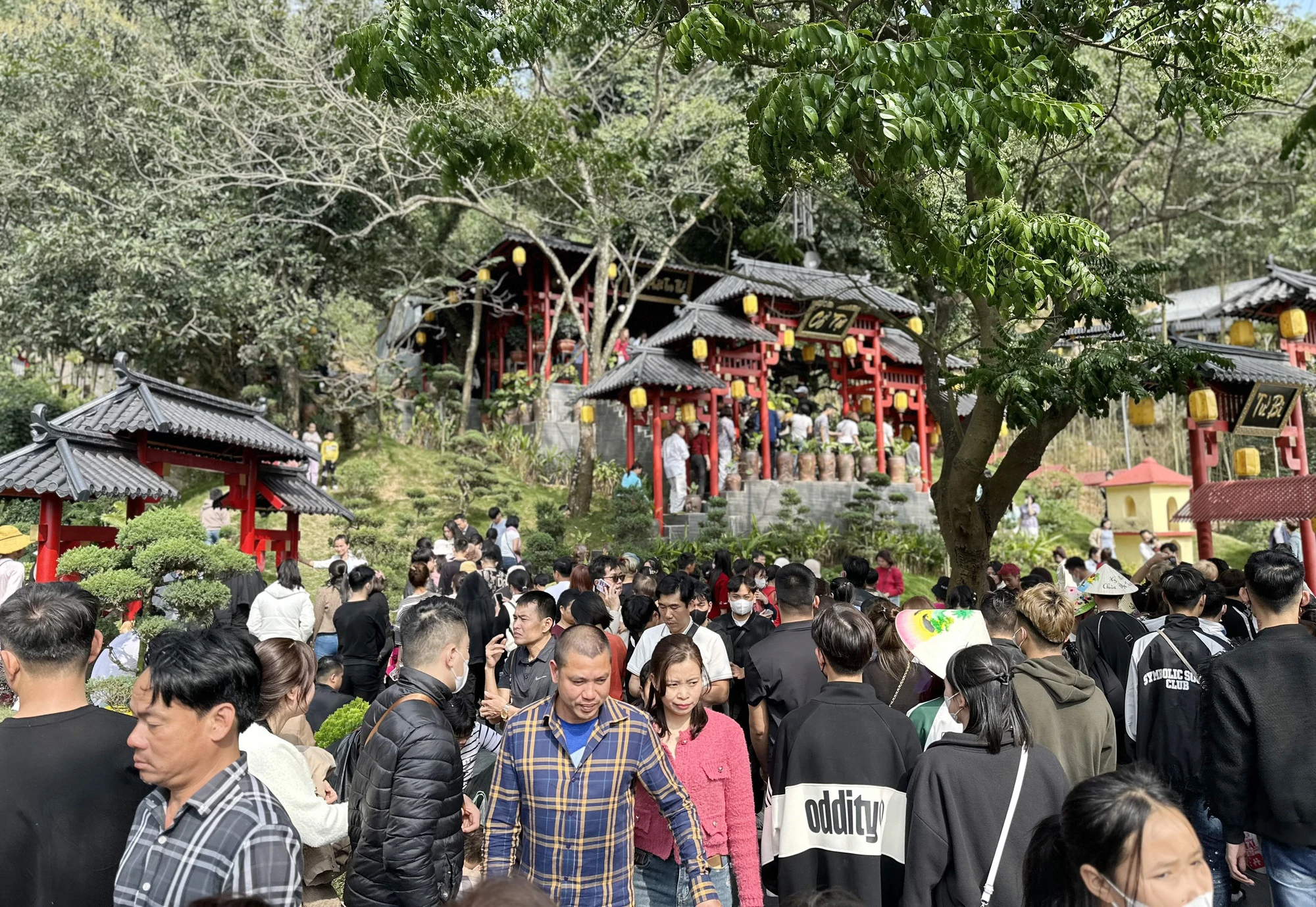 bien-nguoi-do-xo-len-chua-cay-thi-de-chup-anh-5.jpg