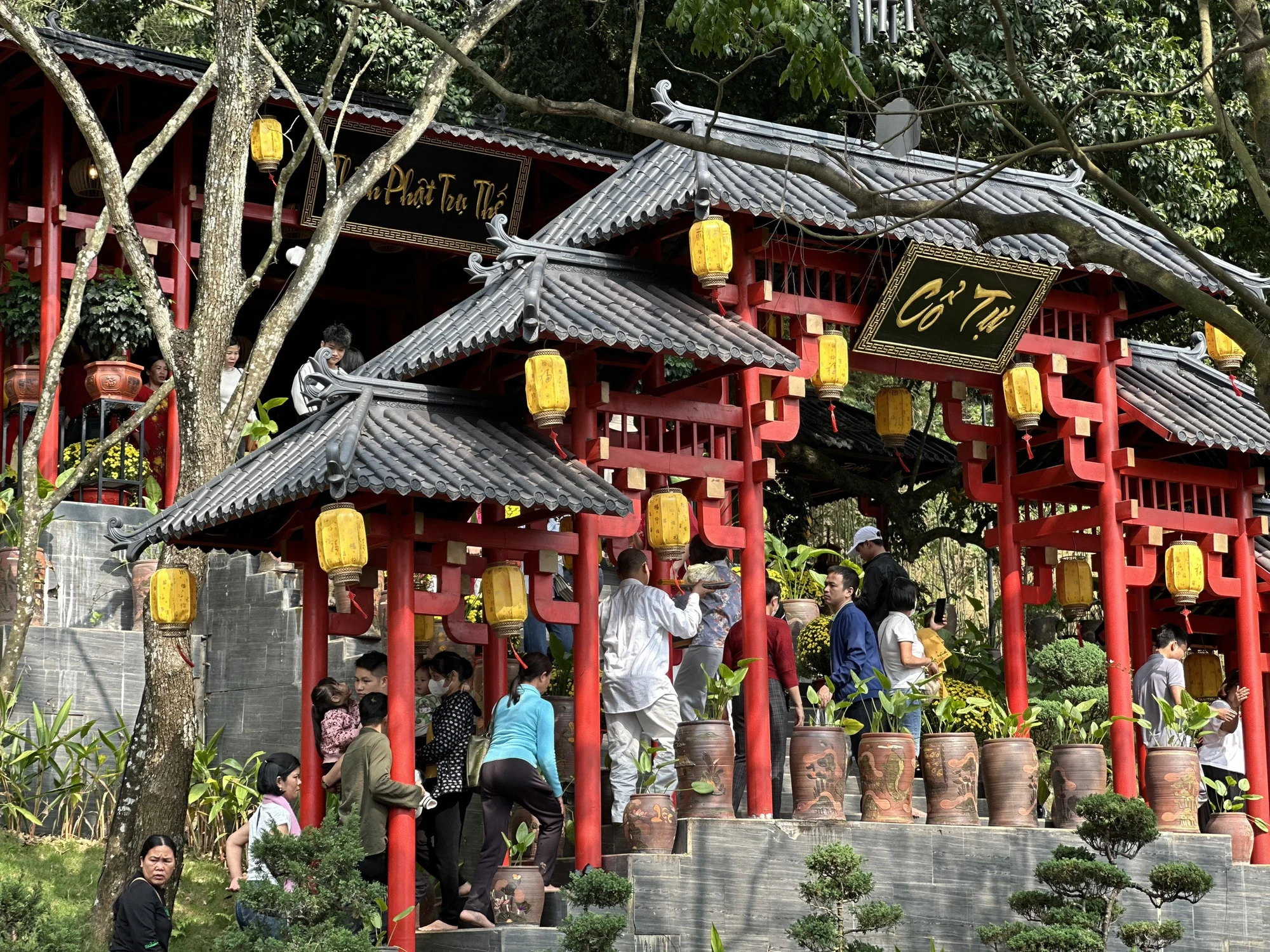 bien-nguoi-do-xo-len-chua-cay-thi-de-chup-anh-6.jpg