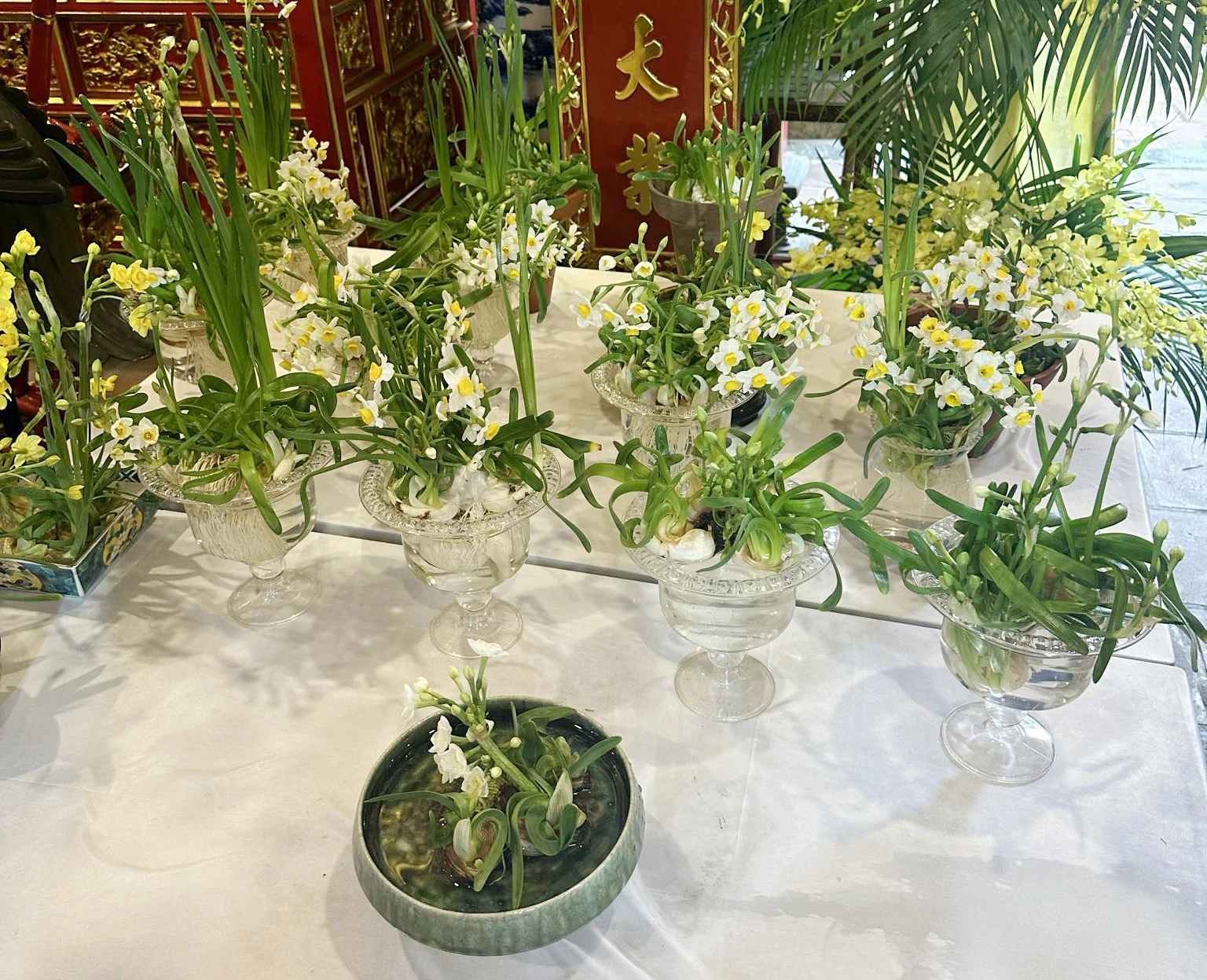 hai-phong-lan-dau-khoi-phuc-hoi-thi-hoa-thuy-tien-dang-cung-nu-tuong-le-chan-4.jpeg