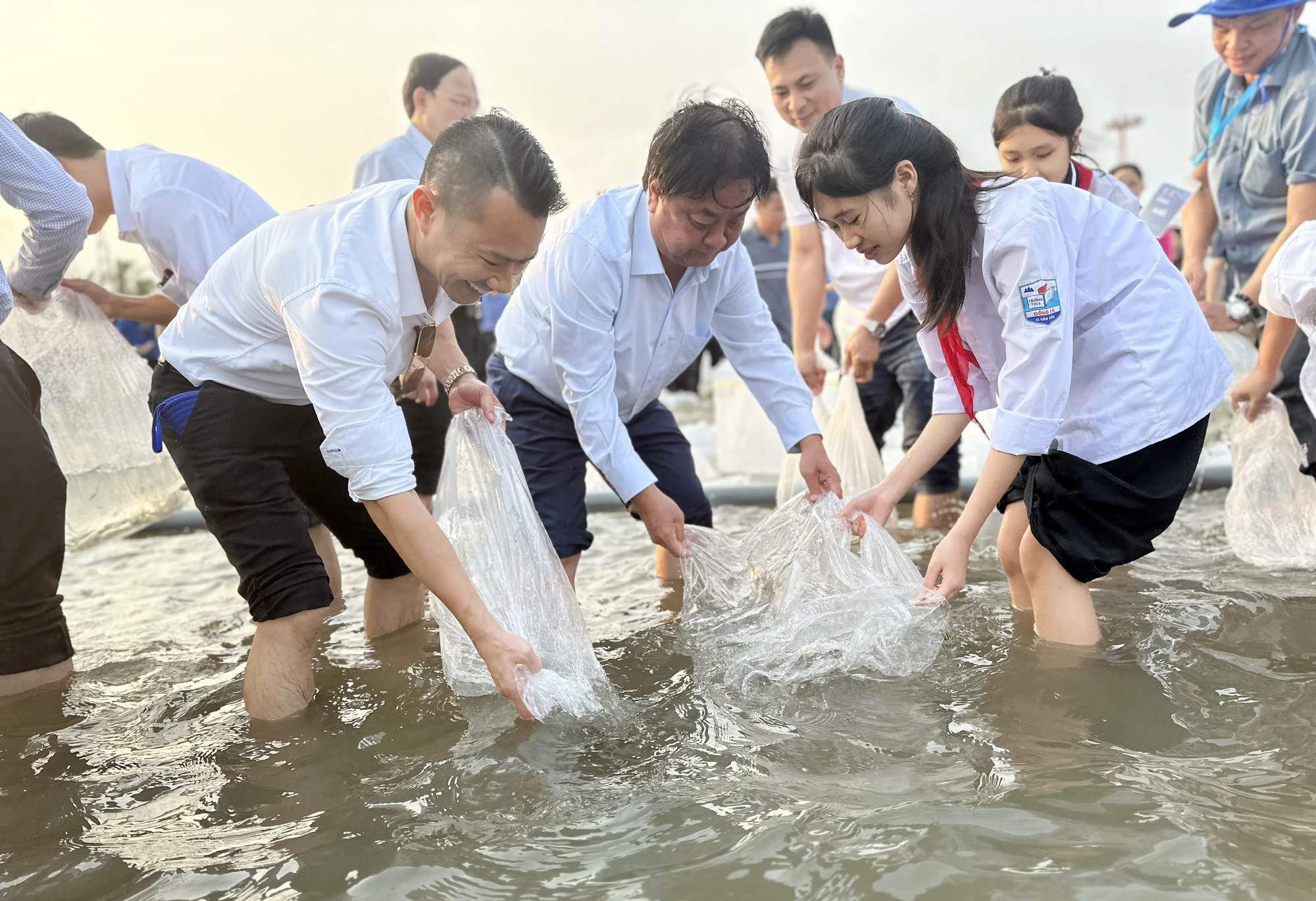 quang-ninh-tha-5-trieu-con-giong-xuong-bien-de-tai-tao-nguon-loi-thuy-san-10.jpg