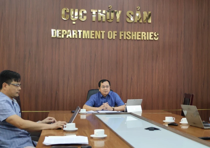 toan-canh-chuong-trinh-cung-ngu-dan-thap-sang-den-tren-bien-tai-thanh-hoa-9.jpg