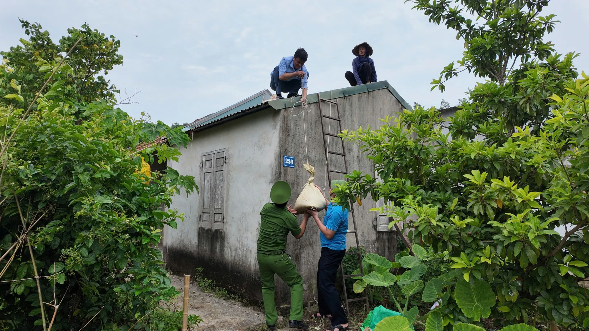 cac-huyen-dao-hoi-ha-phong-chong-sieu-bao-so-3--9.jpg
