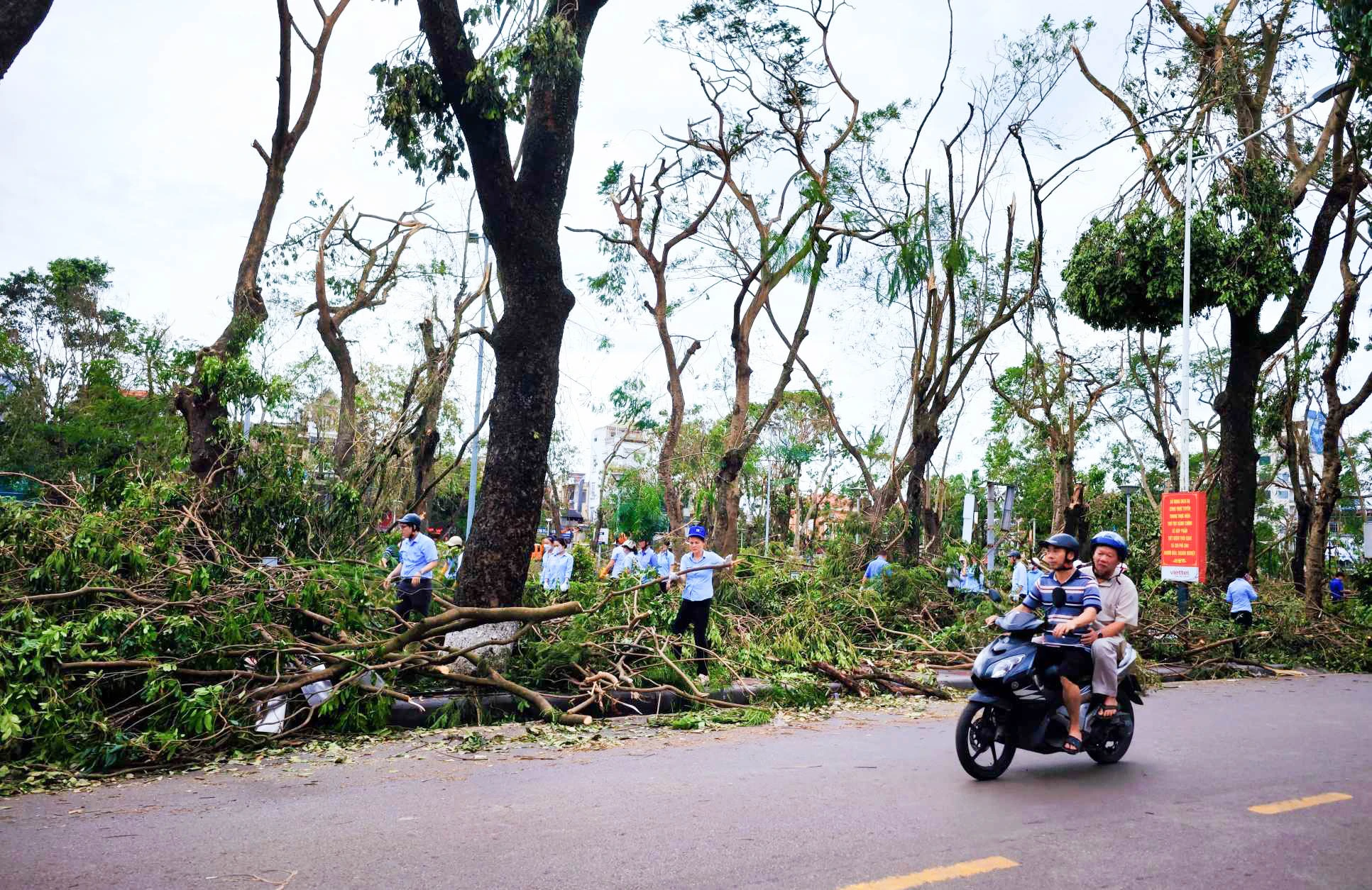 cay-xanh-van-la-liet-tren-pho-sau-bao-so-3-hai-phong-huy-dong-tong-luc-cac-luc-luong-giai-phong-giao-thong-10.jpg