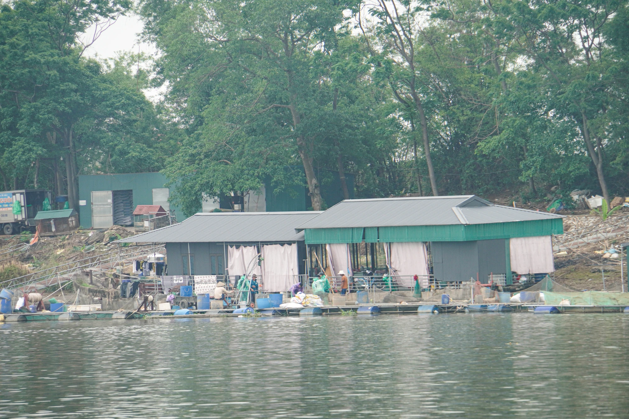 hai-duong-long-nuoi-ca-phu-kin-khuc-song-lai-tau-than-troi-12.JPG