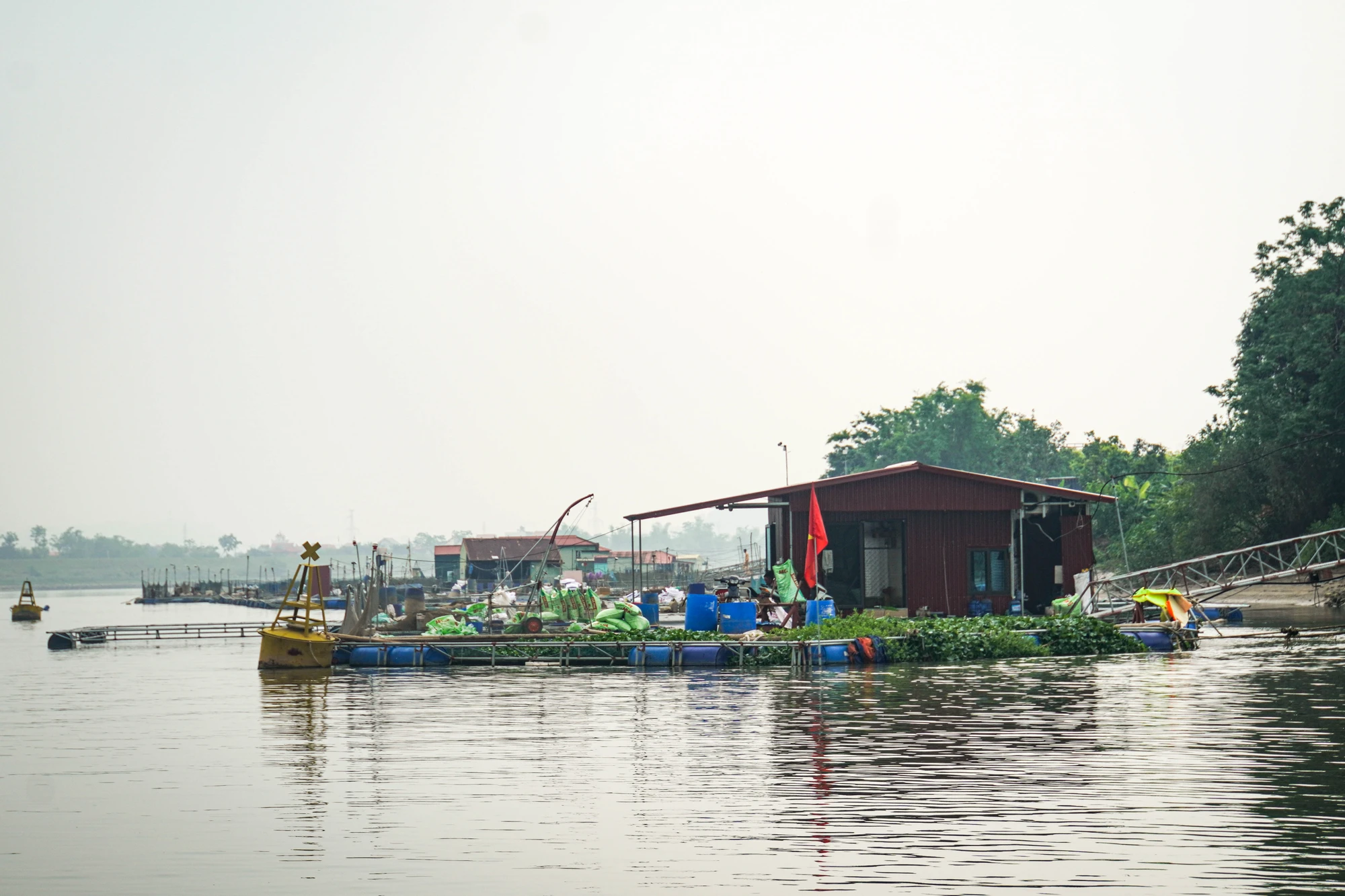 hai-duong-long-nuoi-ca-phu-kin-khuc-song-lai-tau-than-troi-3.JPG