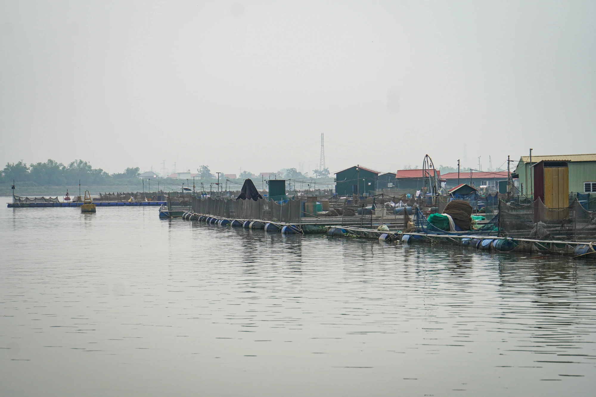 hai-duong-long-nuoi-ca-phu-kin-khuc-song-lai-tau-than-troi-5.JPG