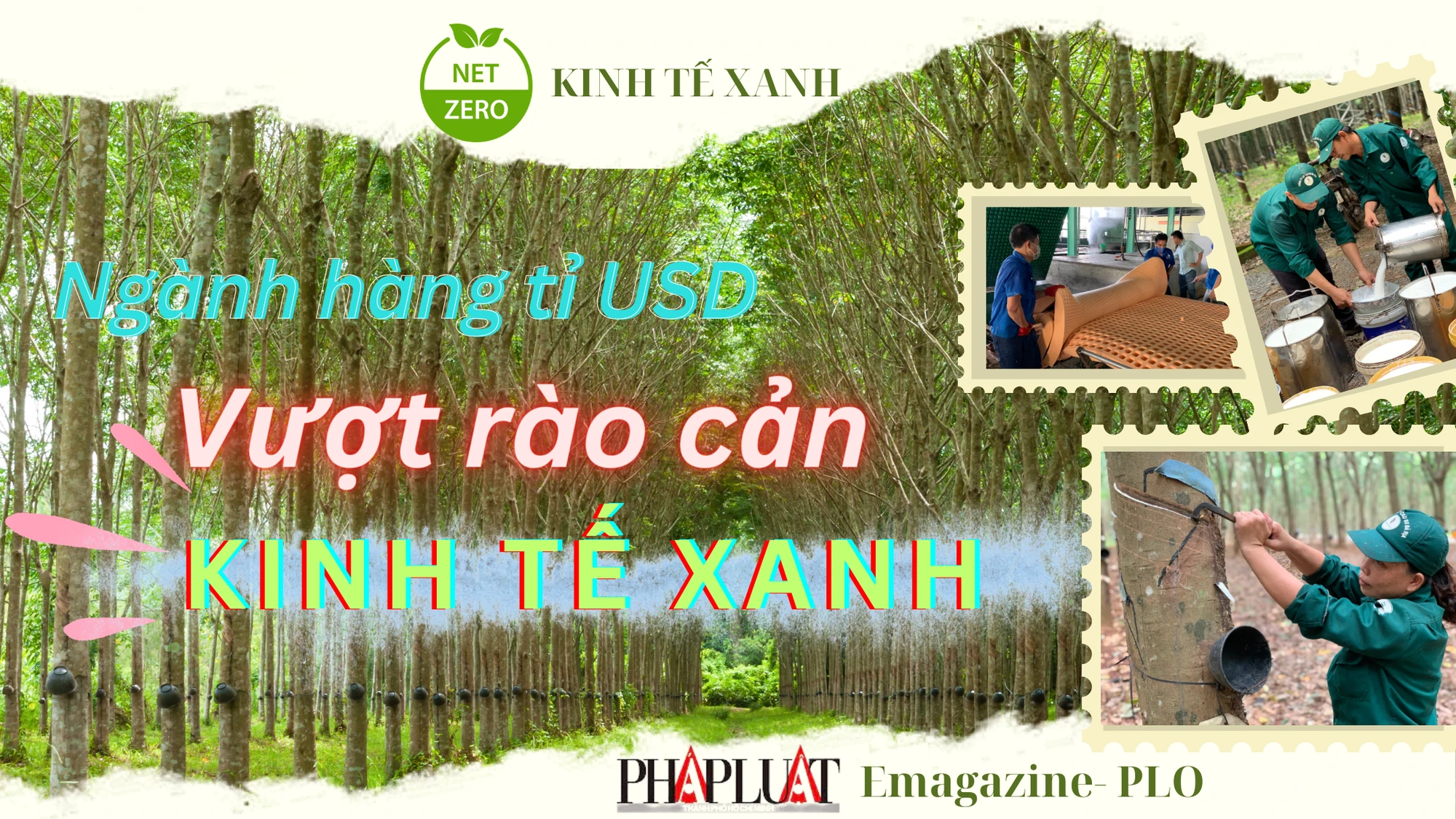 cao-su-kinh-te-xanh-bia-bai2.png