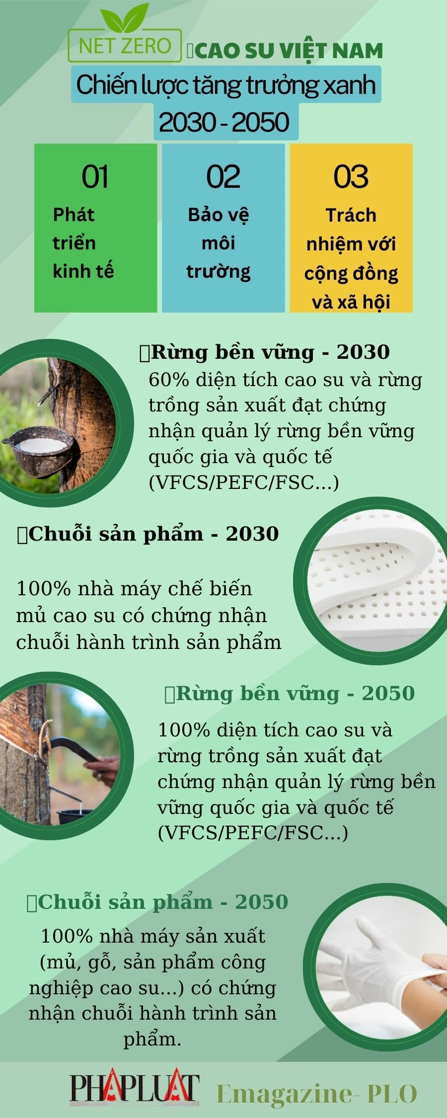 info-bai2-cao-su.jpg