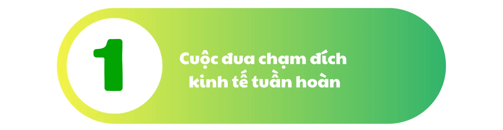 tieu-de1-cao-su-xanh.png