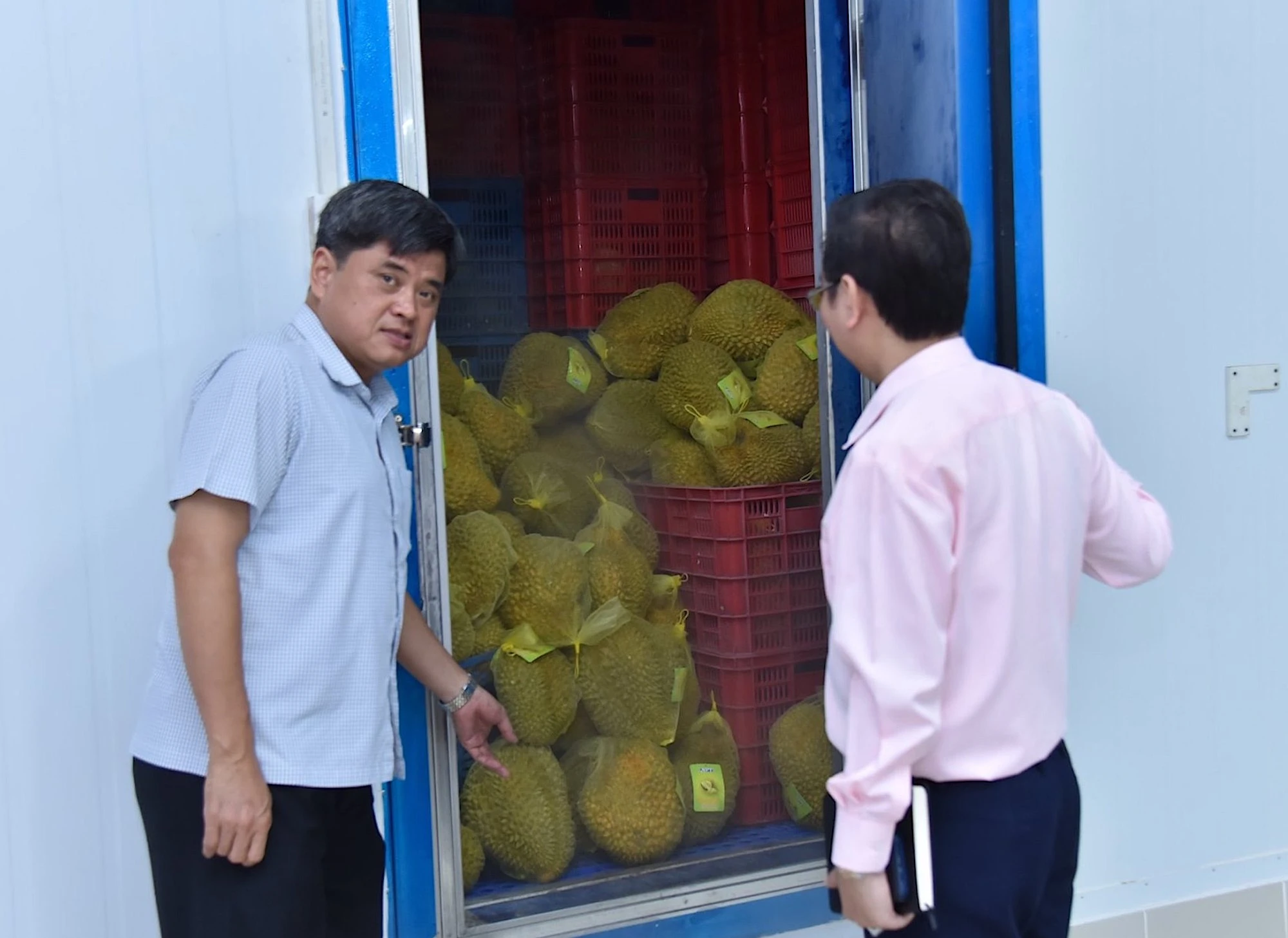 hinh2-quanghuy-bai-kinh-te-sau-rieng-cap-dong.jpg