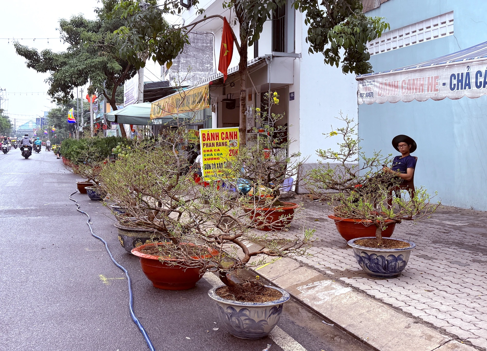 hoa-tet-2026-binh-ngo-h13.JPG