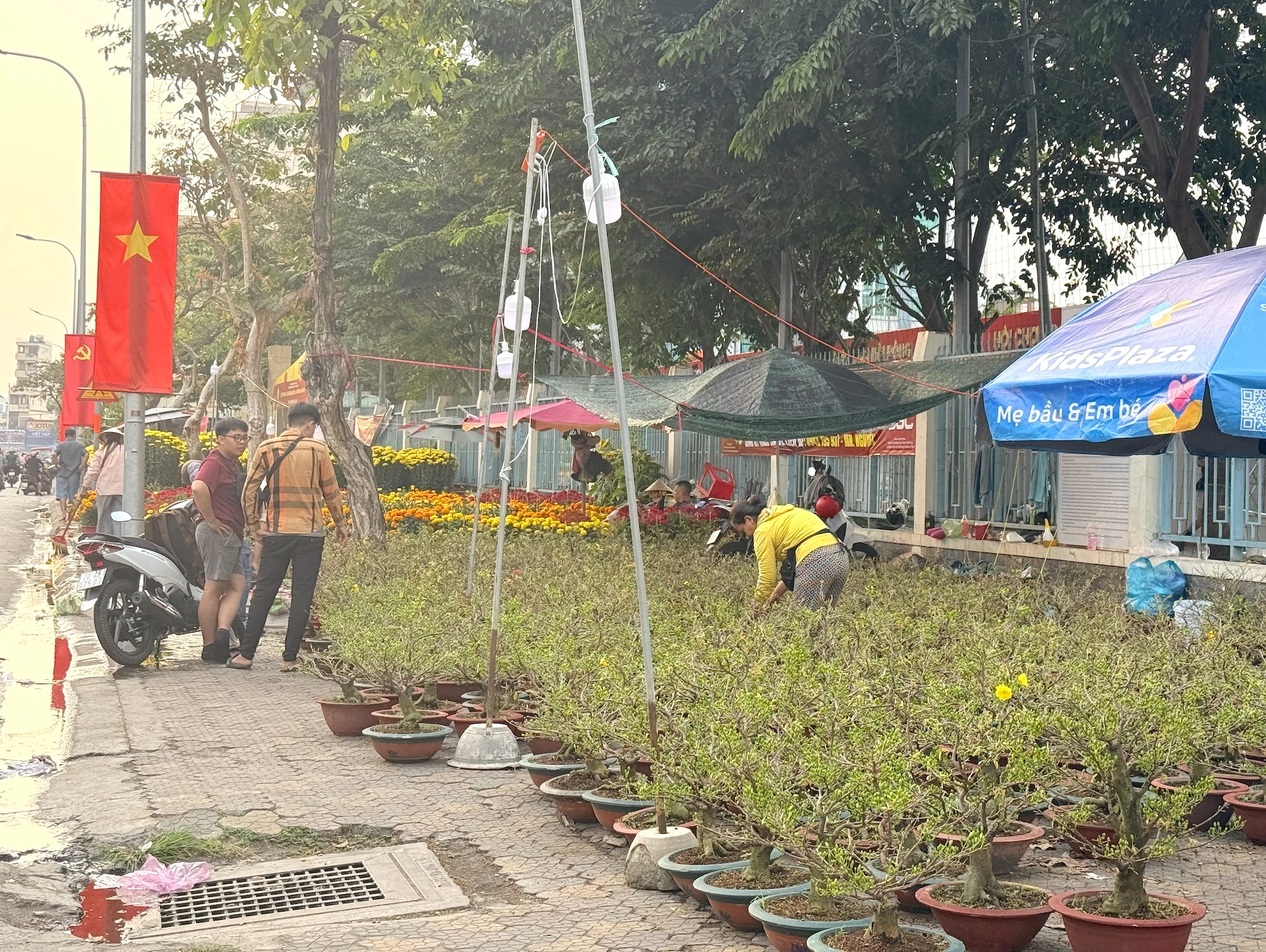 hoa-tet-2026-binh-ngo-h15.JPG
