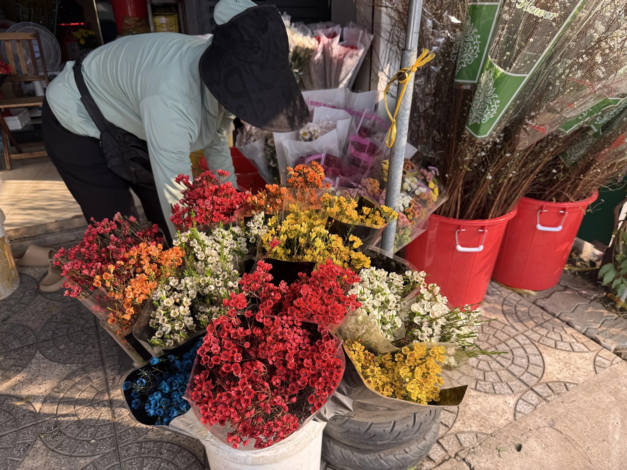 hoa-tet-2026-binh-ngo-h7.JPG