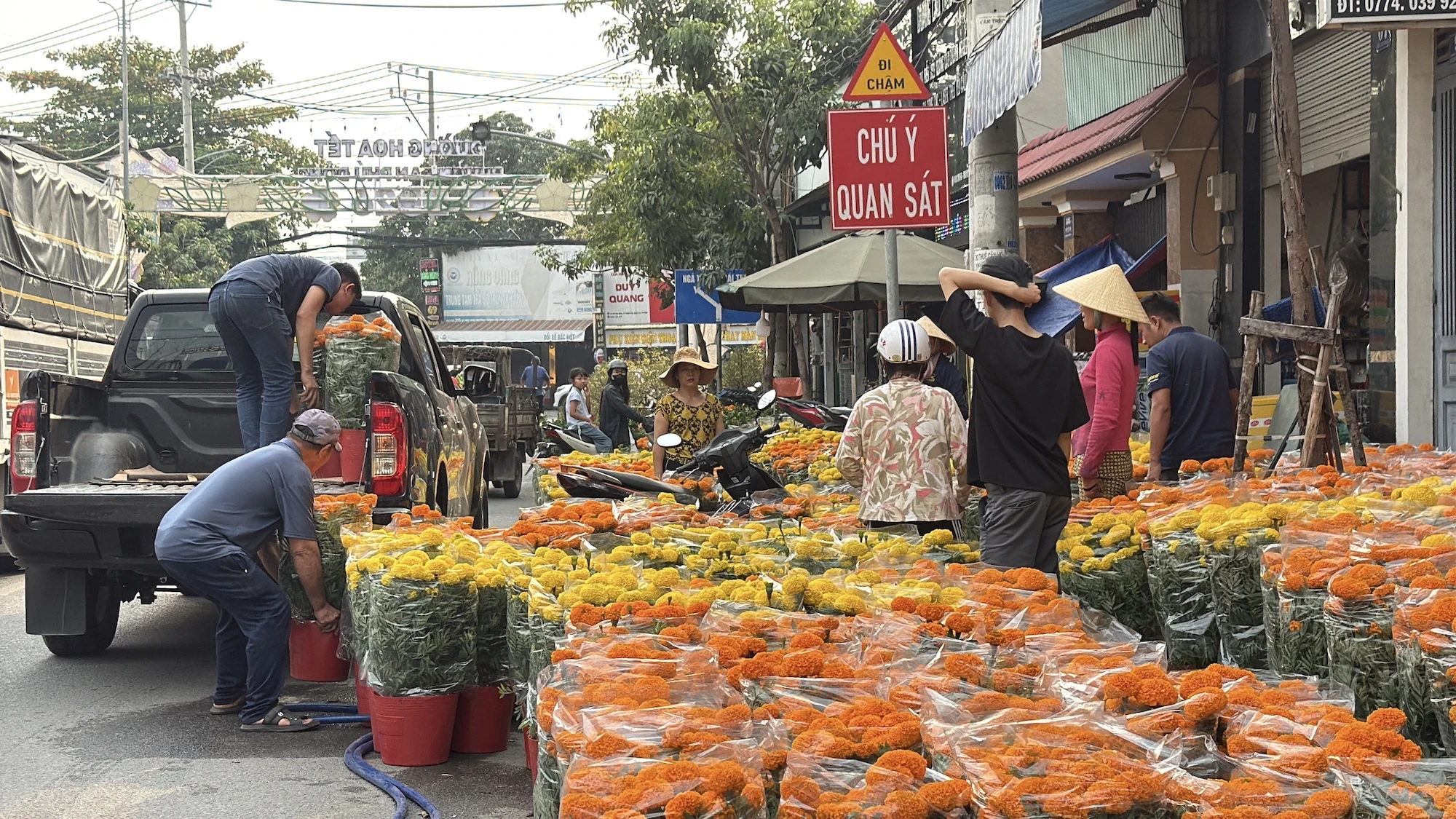 hoa-tet-2026-binh-ngo-h9.jpg