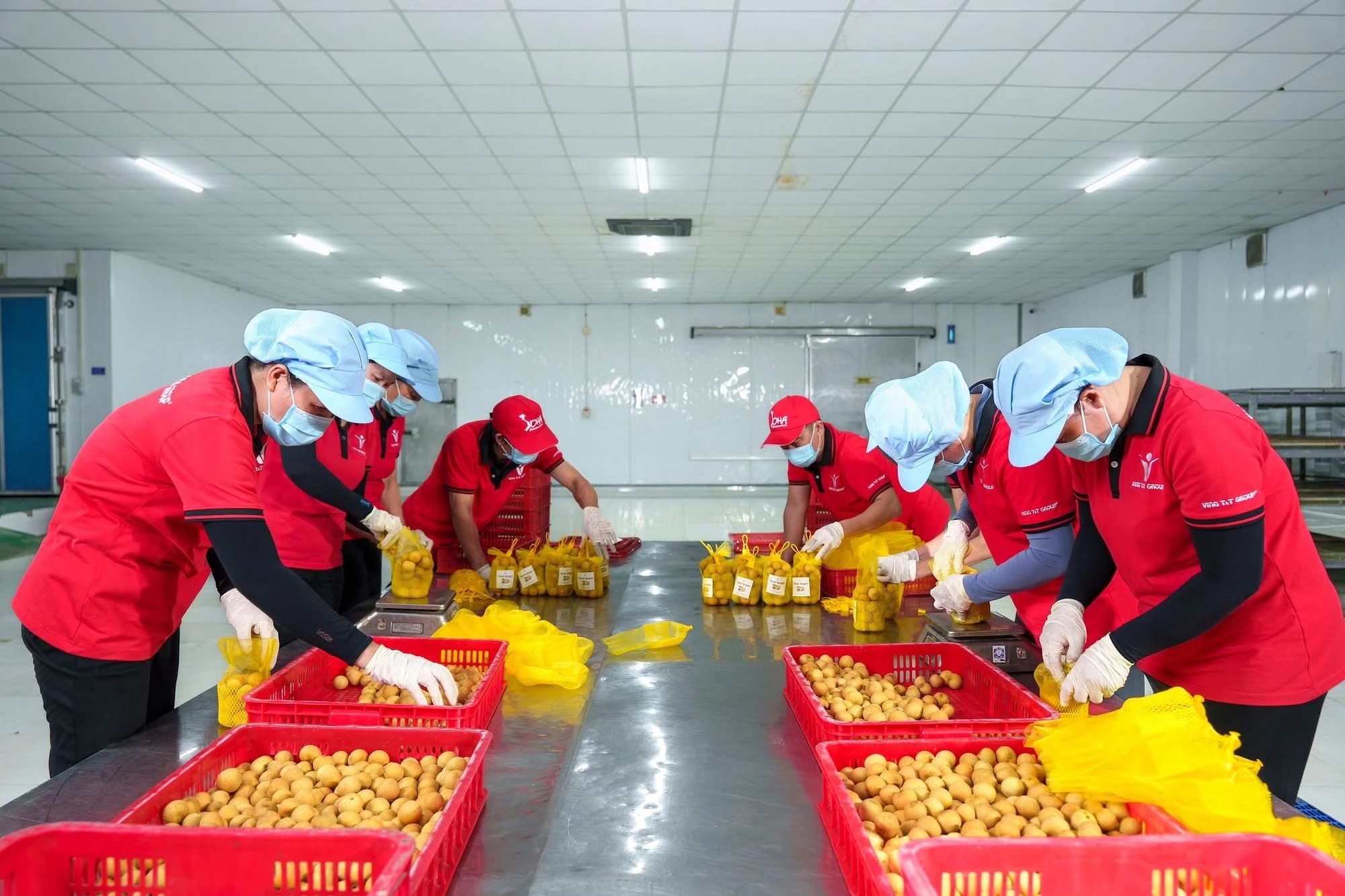 Bà nội trợ, nhà kinh doanh xoay sở trước áp lực xăng dầu