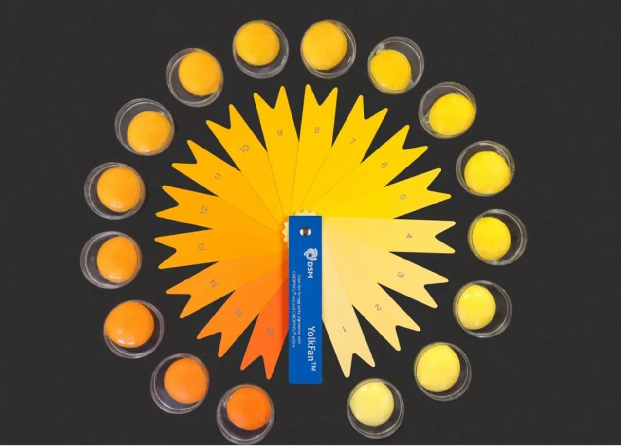 DSM YolkFan™