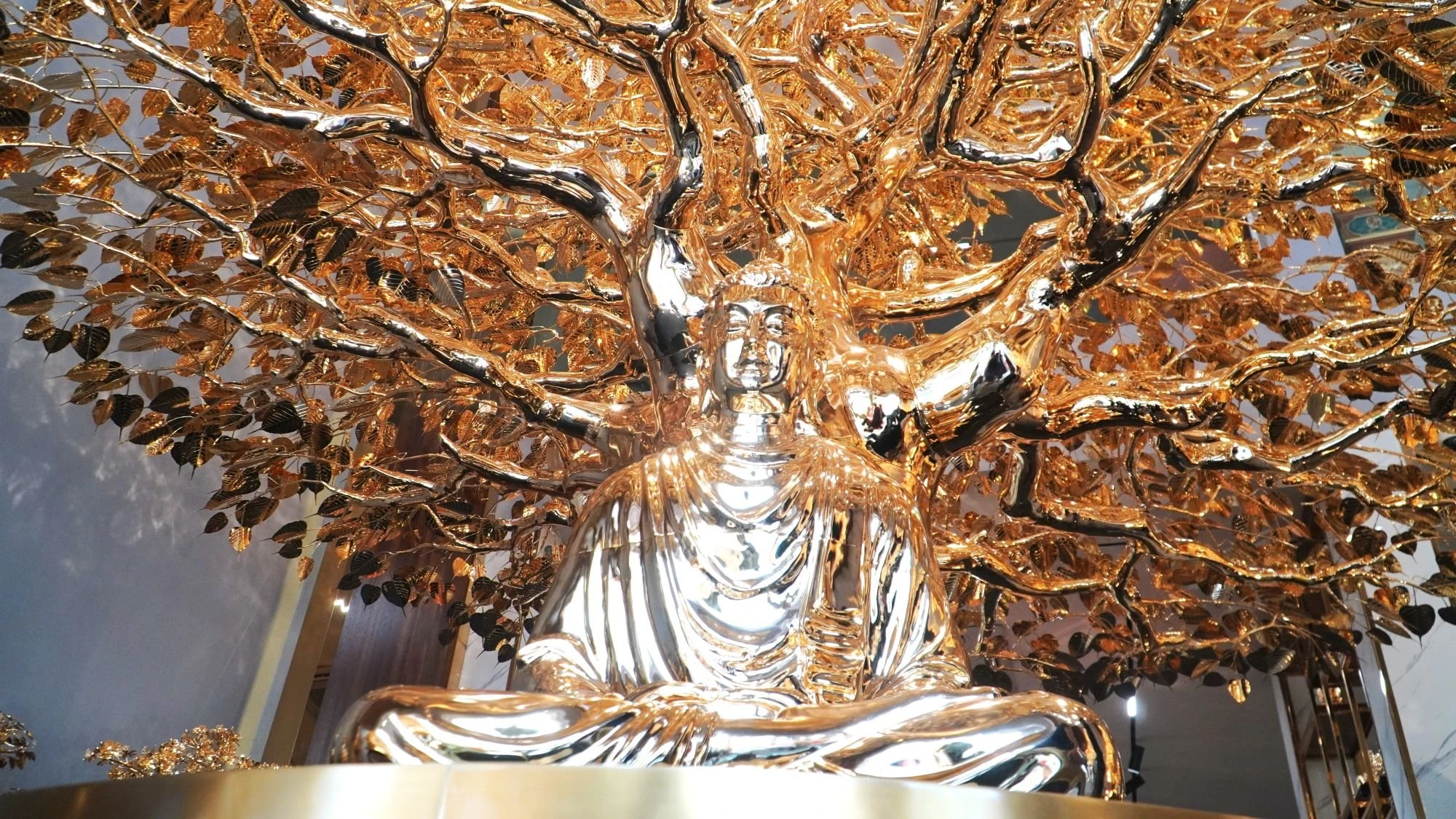 cây bồ đề