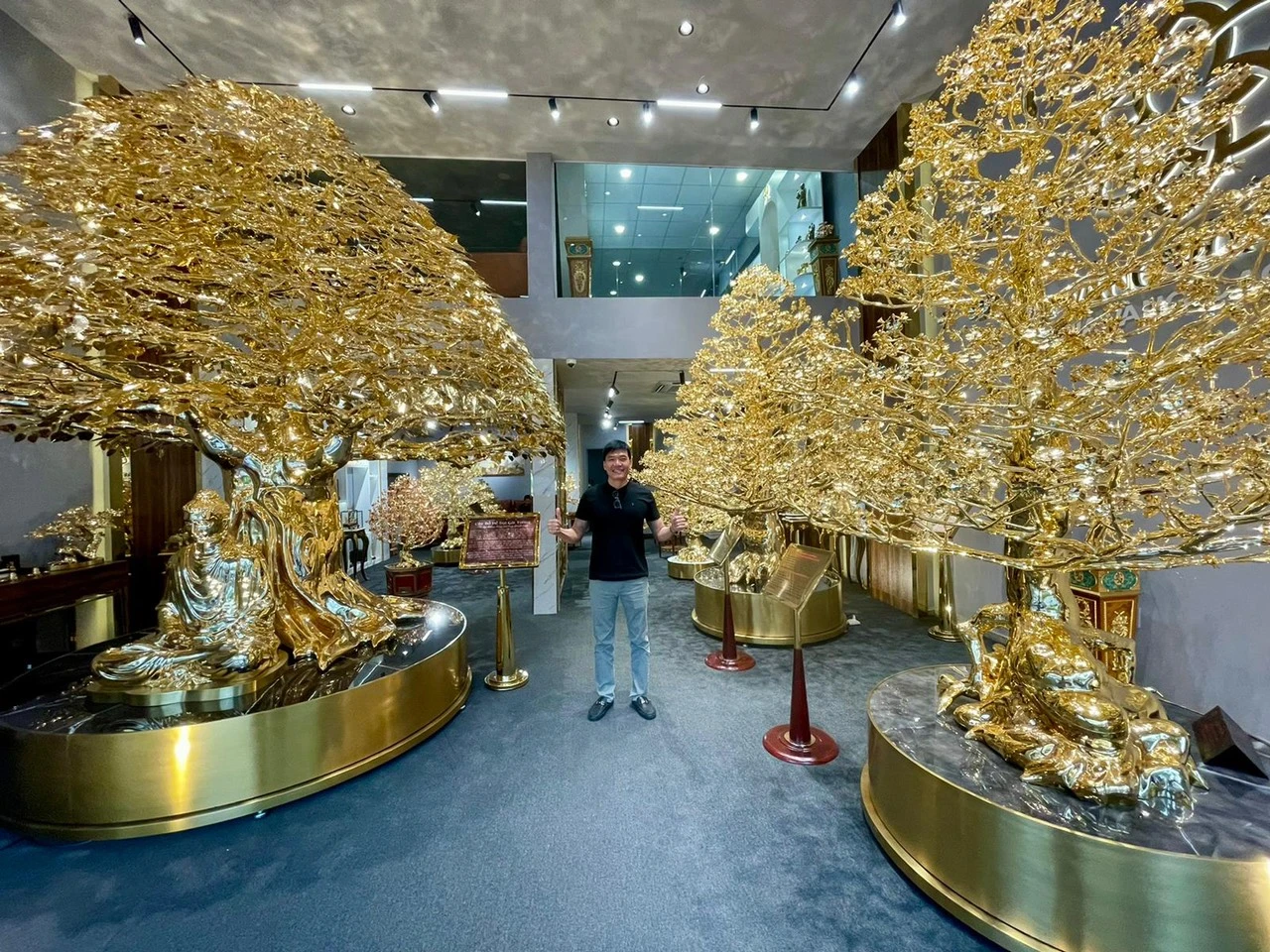 cây bồ đề