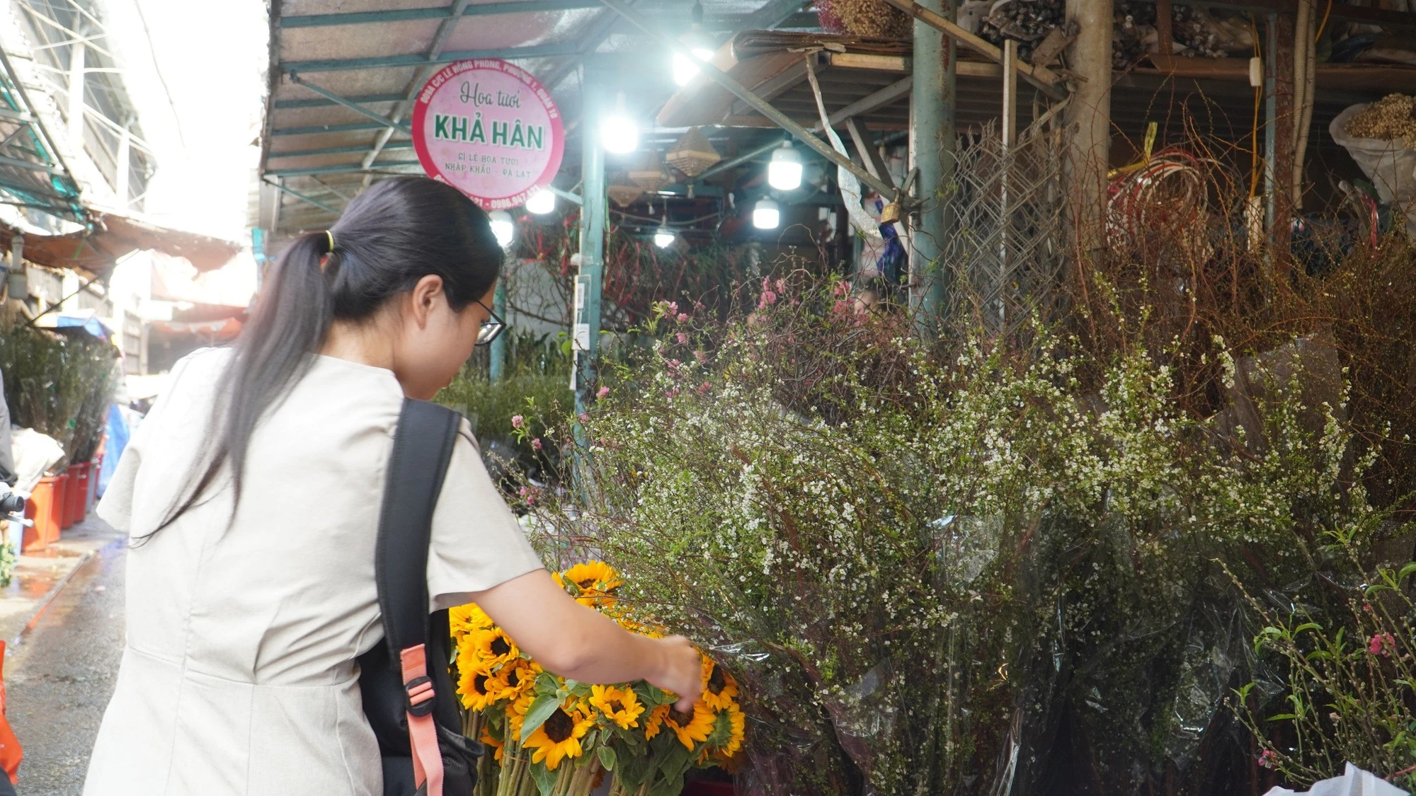 hoa tết