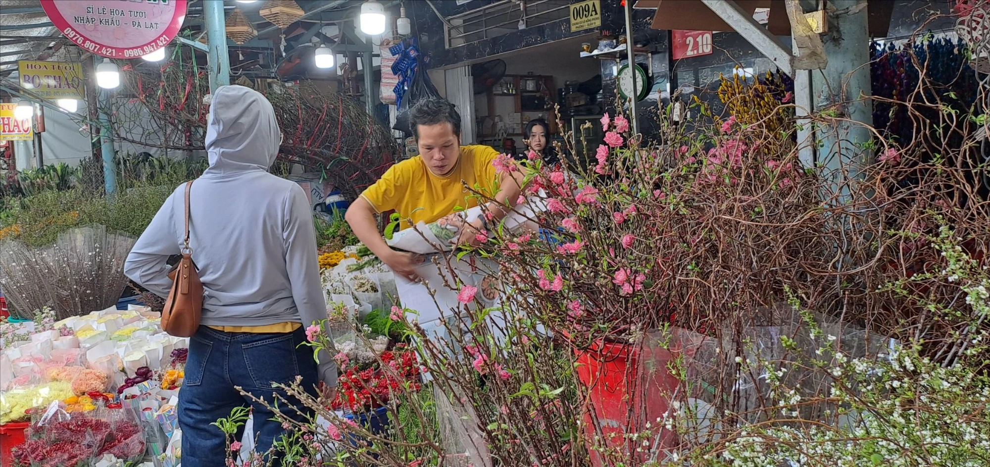 hoa tết