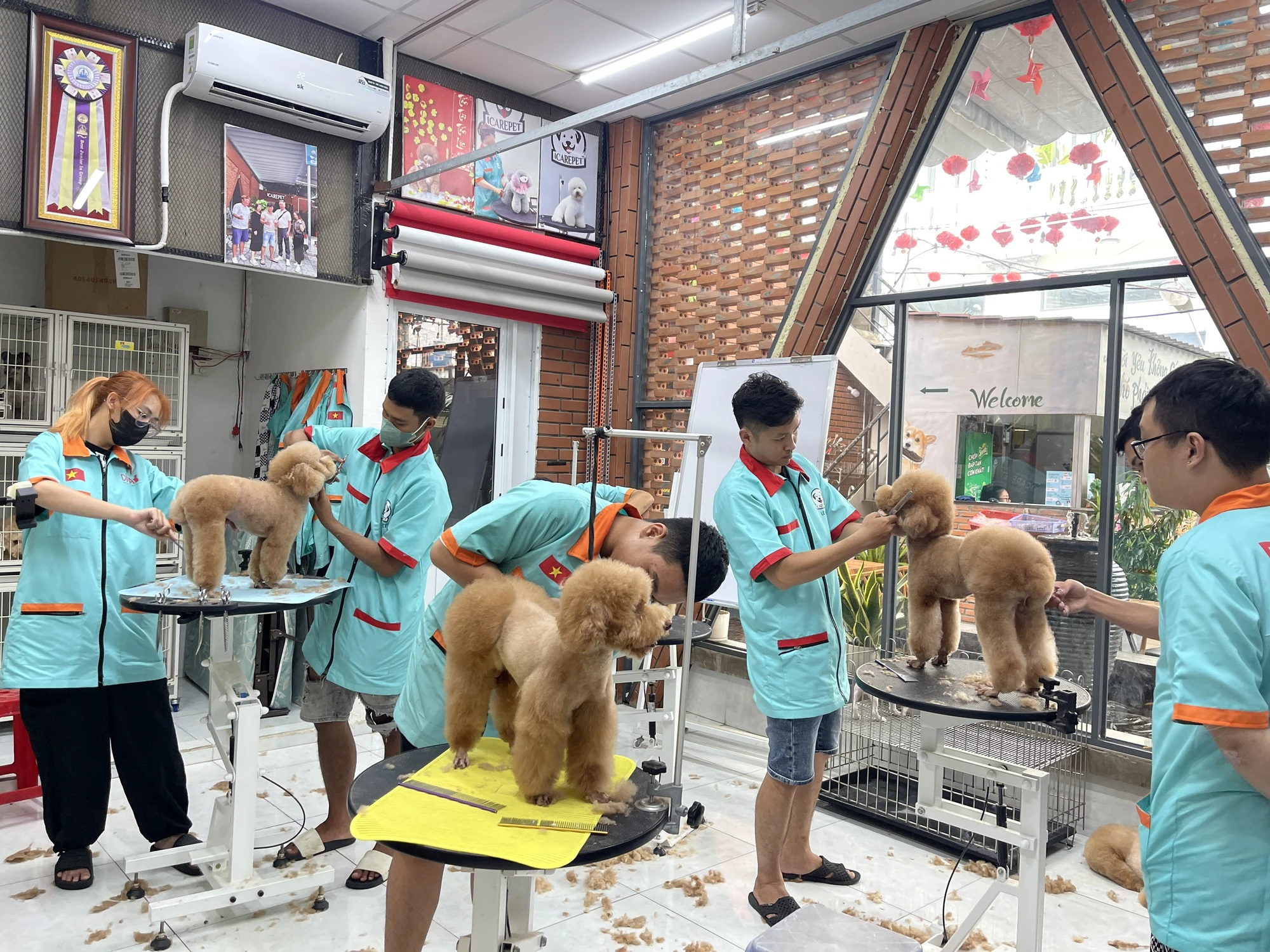 thu-cung_5.jpg
