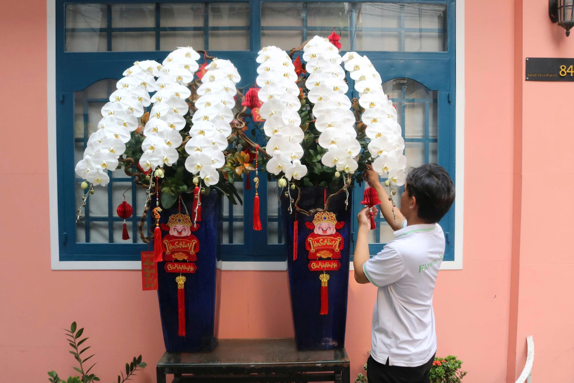 HOA-LAN-NU-HOANG.jpg