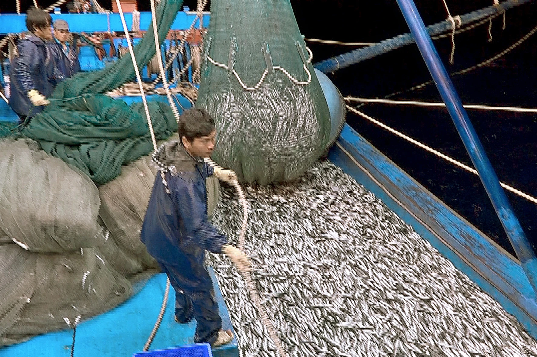 Mẻ cá trúng đậm đầu năm 2023 của ngư dân Bình Thuận.