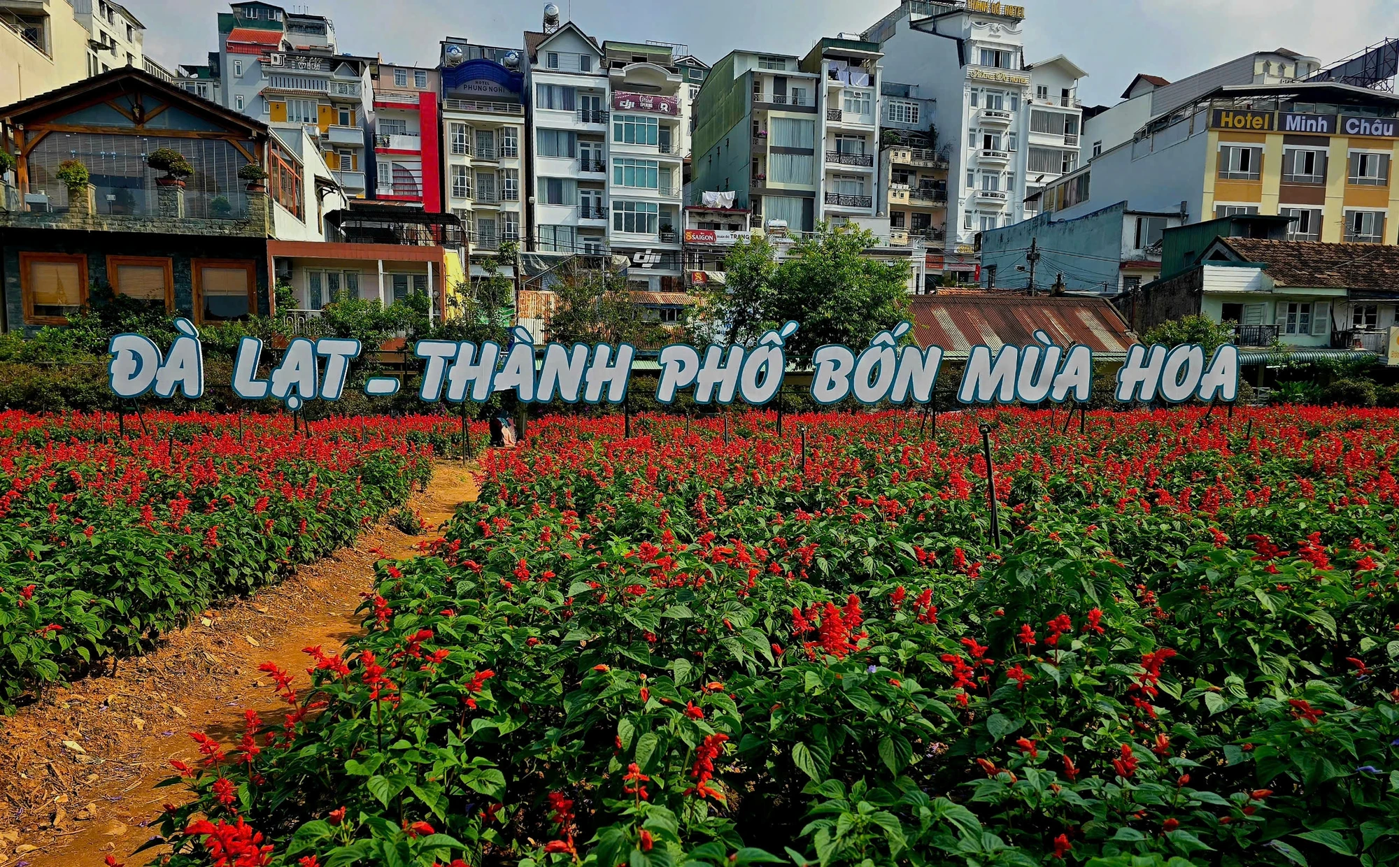 tỉnh Lâm Đồng