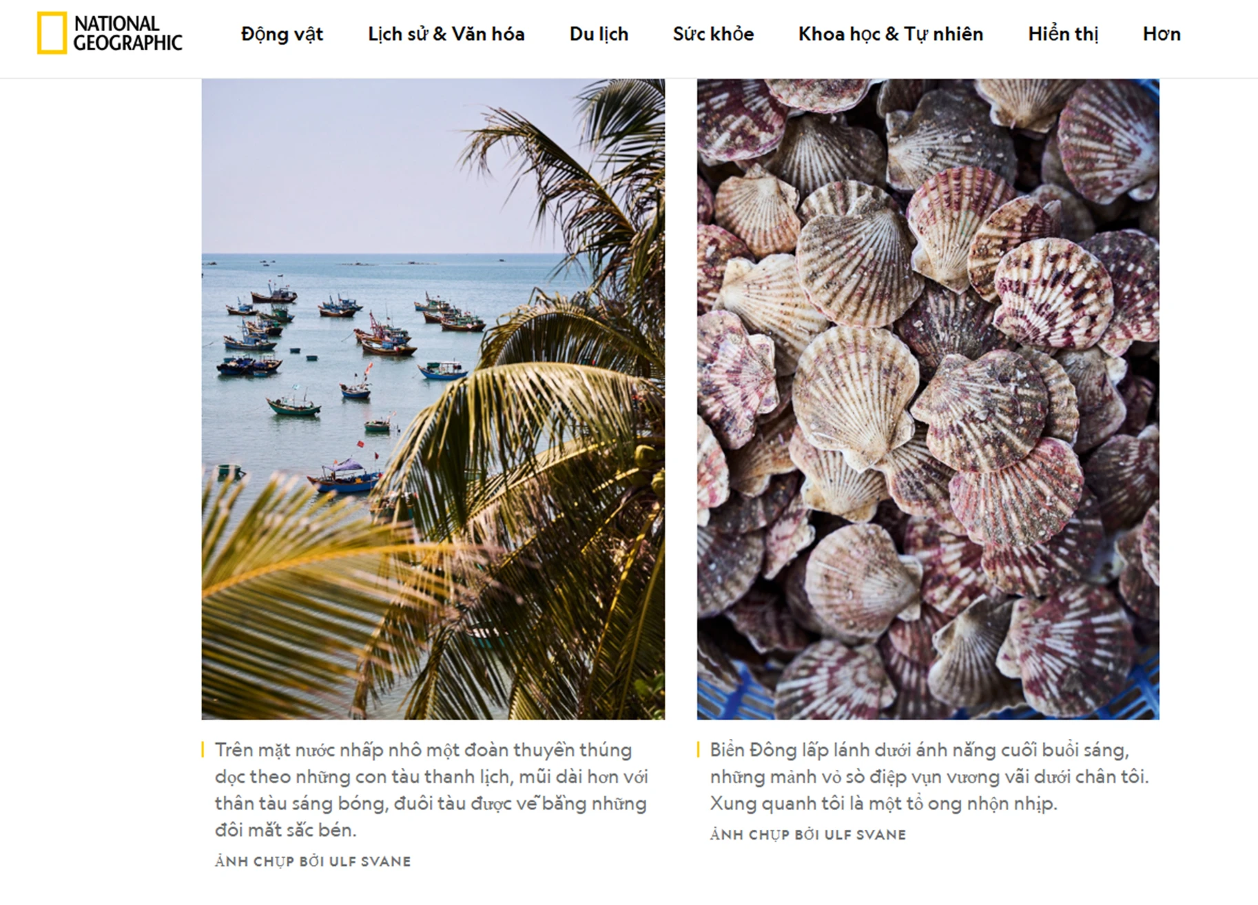 lang-chai-mui-ne (1).png