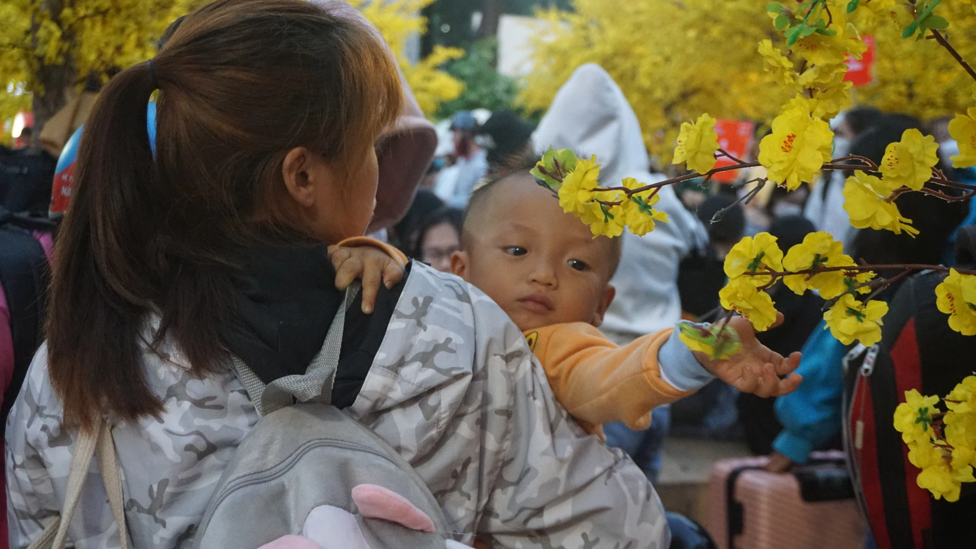 Chuyến xe mùa xuân là chương trình được Trung tâm hỗ trợ học sinh, sinh viên khởi xướng “Chuyến xe mùa xuân” đưa hàng nghìn sinh viên, người lao động về quê ăn tết.