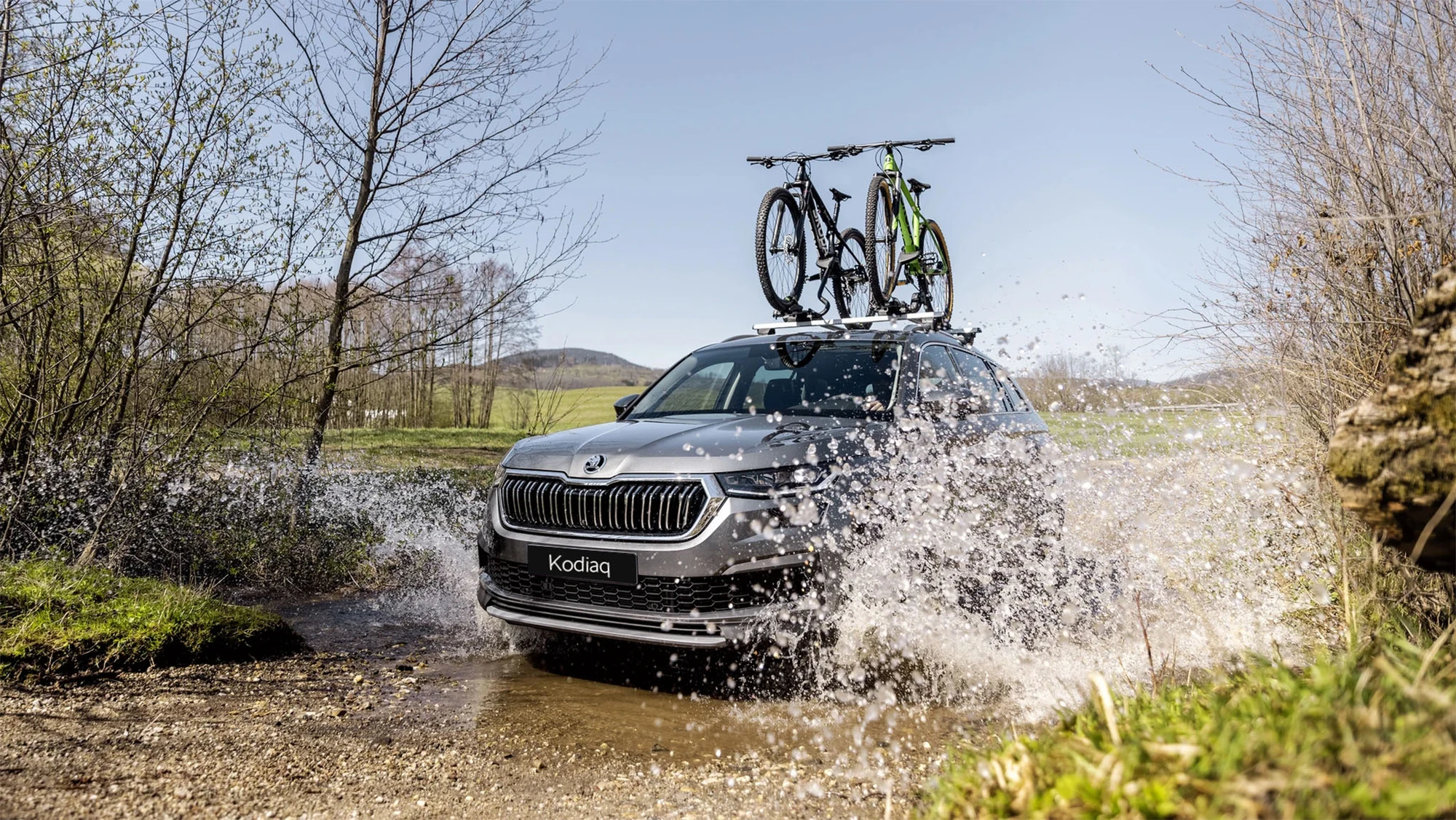 Kodiaq - 1.jpg