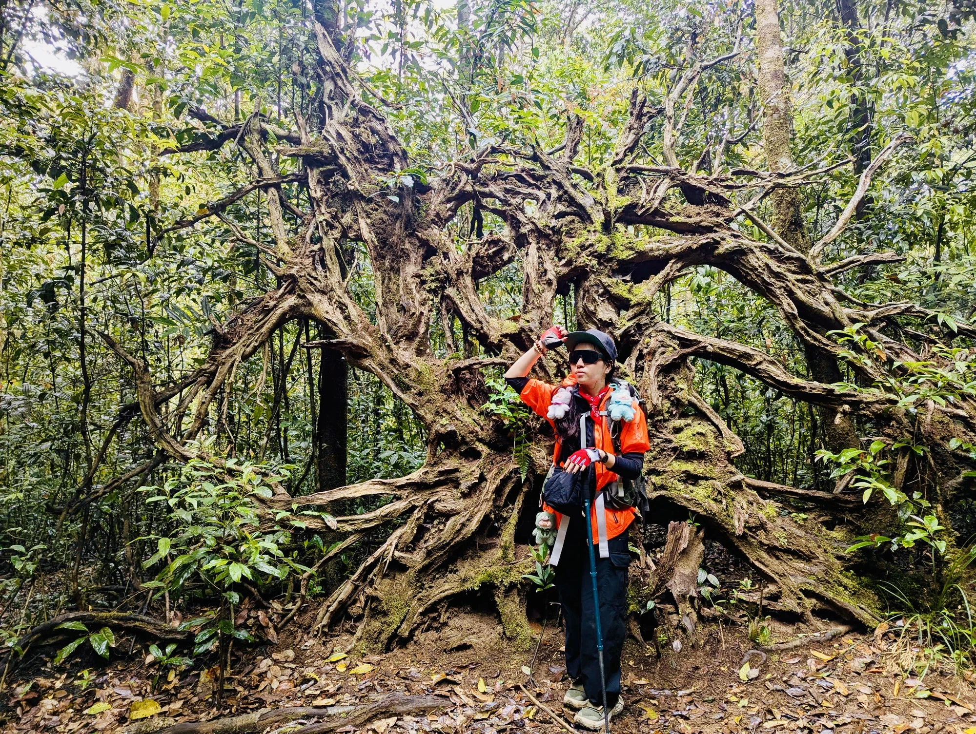 vuon-quoc-gia-bidoup-5.jpg