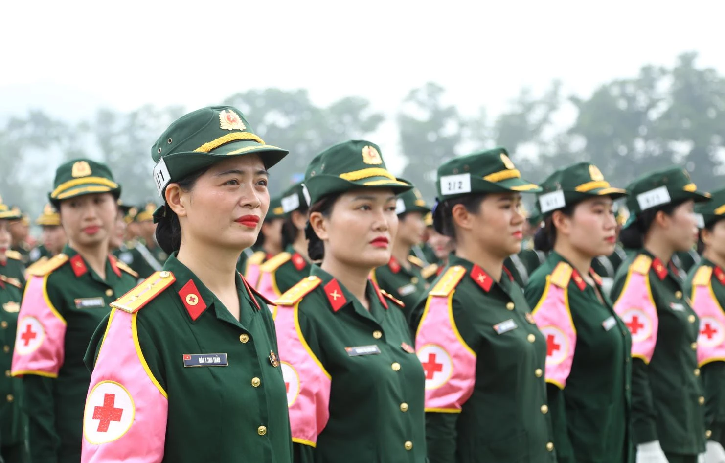 Nhung-bong-hong-tham-gia-le-dieu-binh-2.JPG