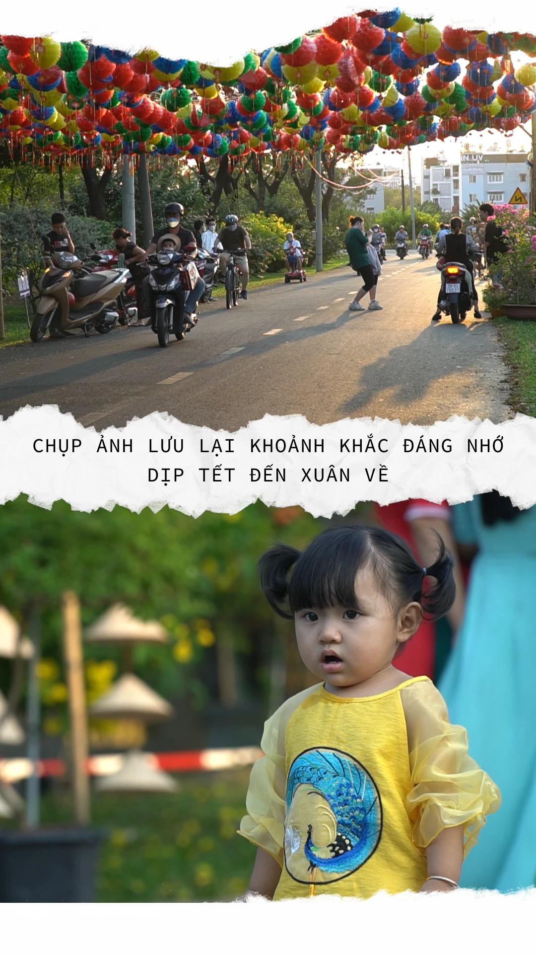 4123123.png