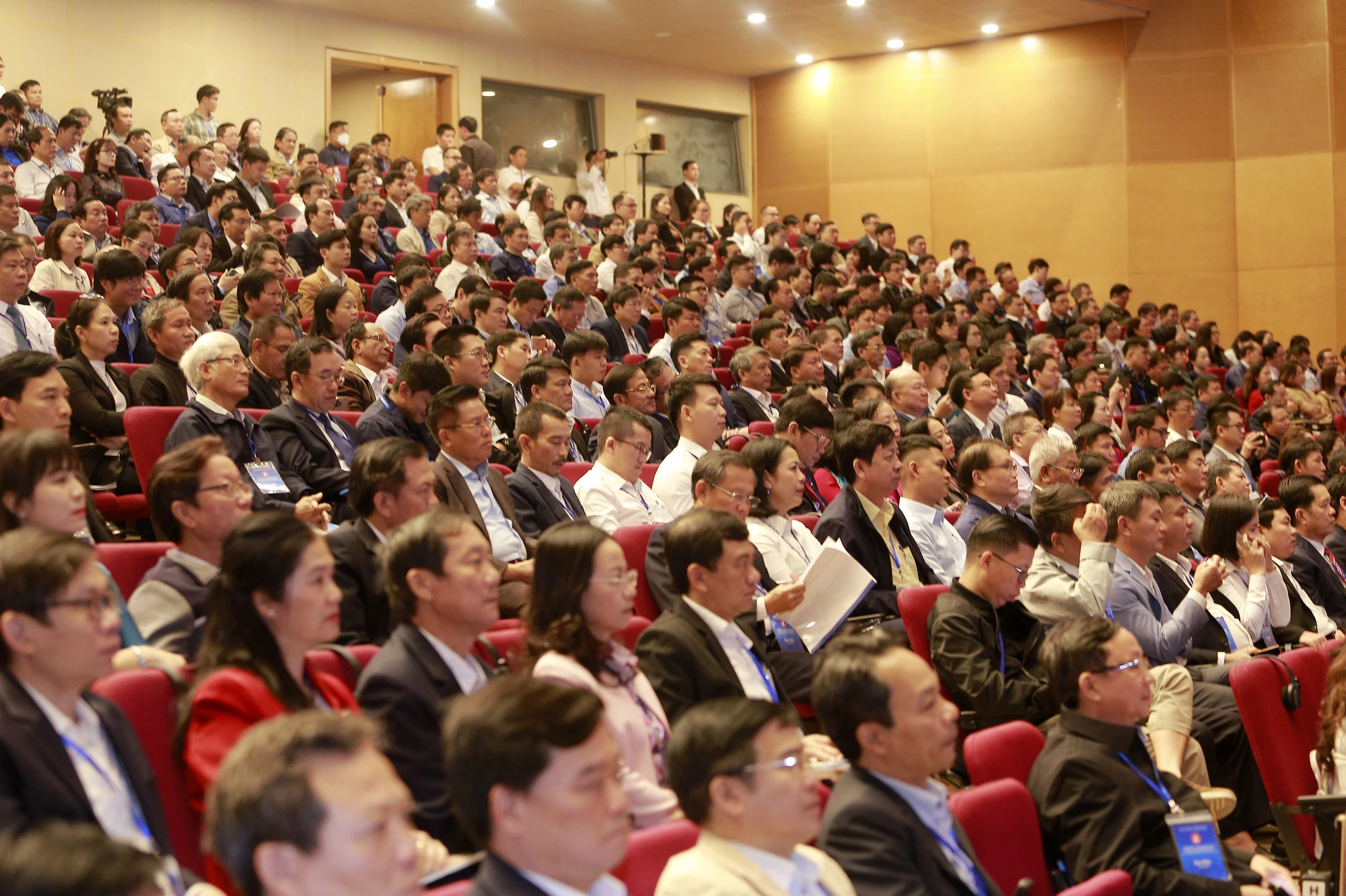quy-hoah-binh-dinh-2-8045.jpg