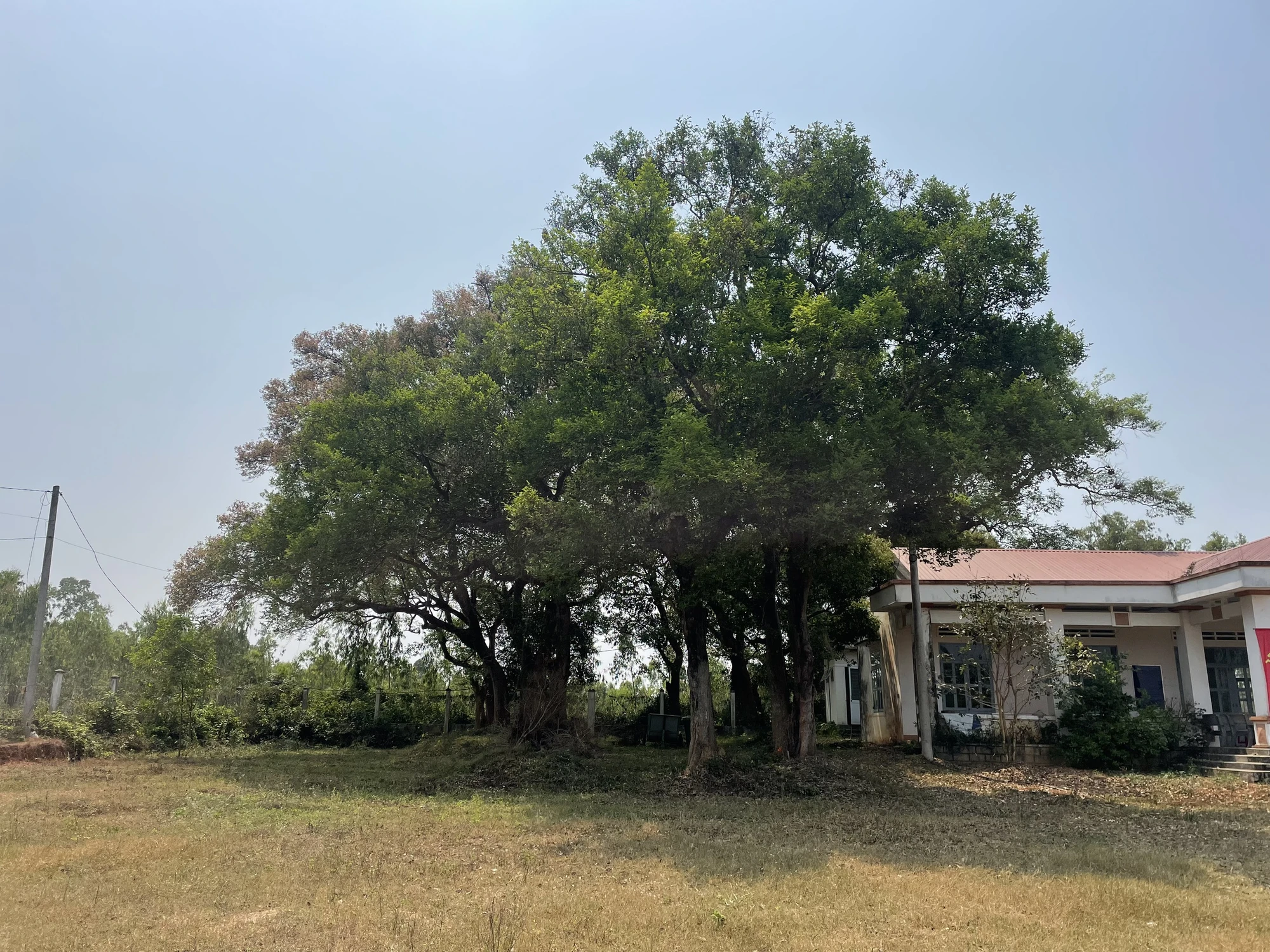 thôn Mỹ Hòa.jpg