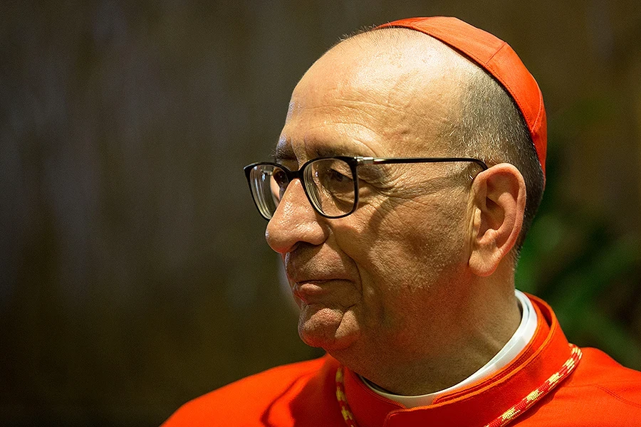 nhung-ung-vien-sang-gia-co-the-ke-nhiem-giao-hoang-francis-4.png