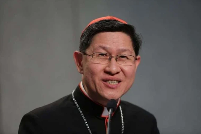 nhung-ung-vien-sang-gia-co-the-ke-nhiem-giao-hoang-francis-6.png