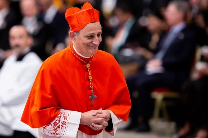 nhung-ung-vien-sang-gia-co-the-ke-nhiem-giao-hoang-francis-8.png