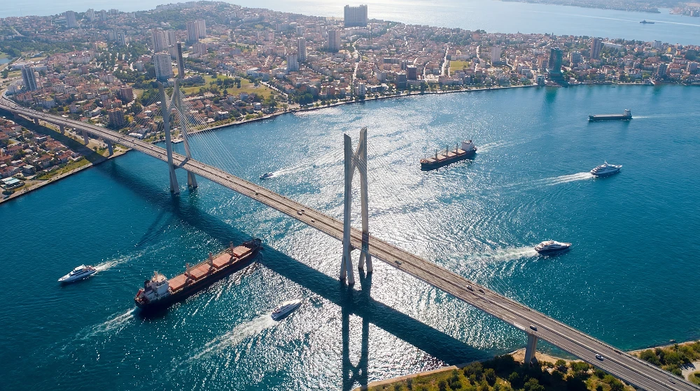Can Gio Bridge.jpg
