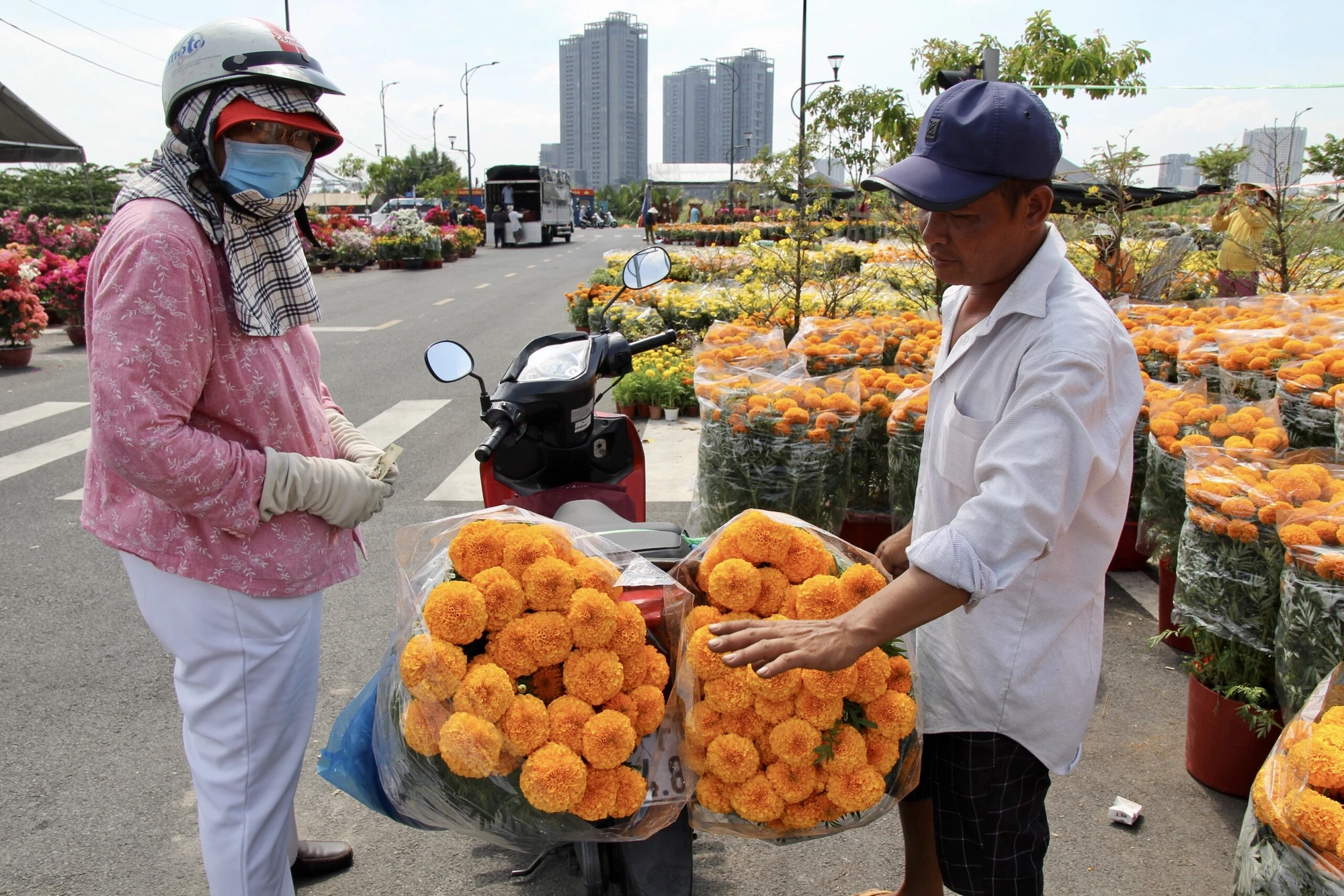 Cặp bông vạn thọ này có giá 100.000 đồng.