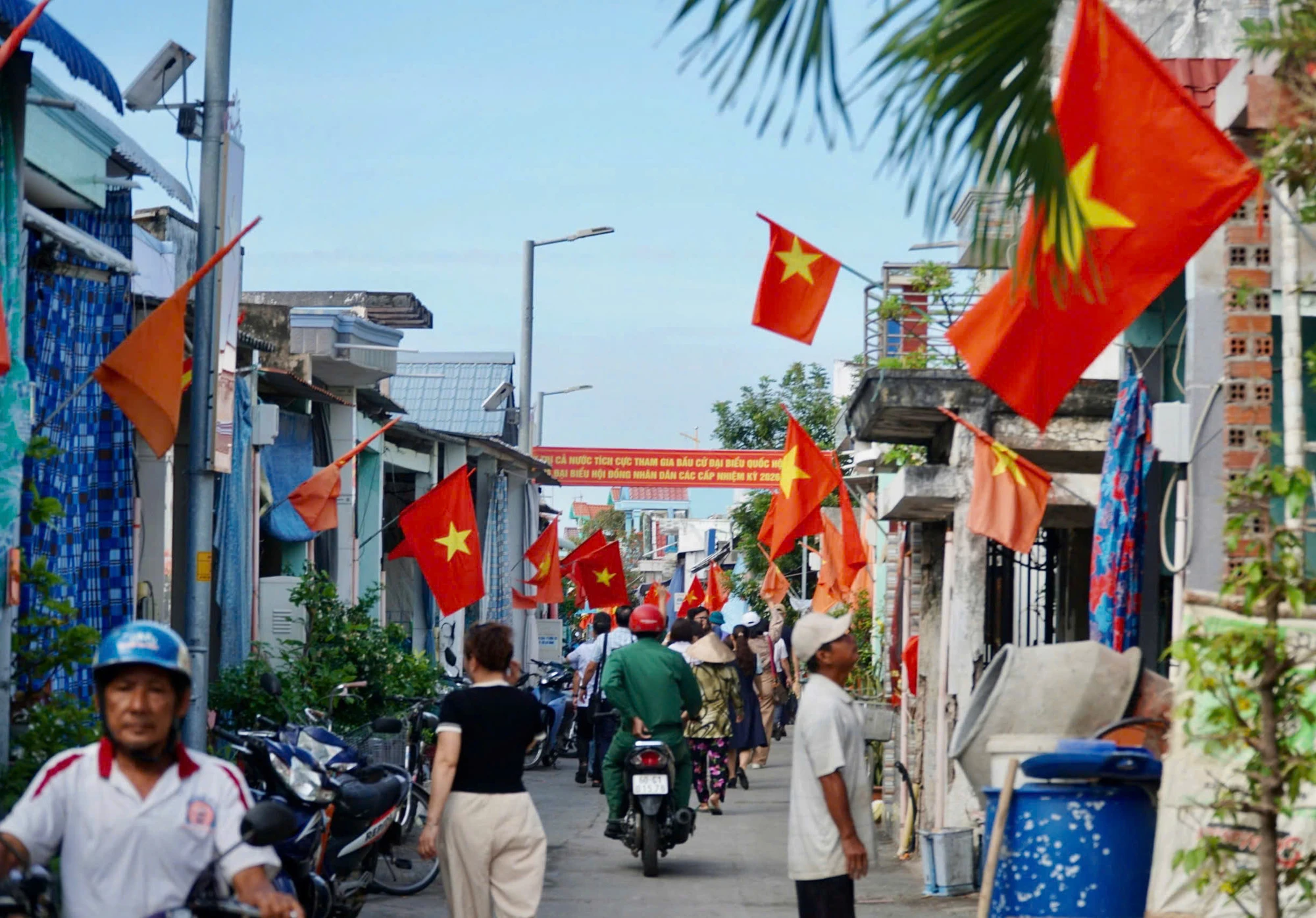 dao-thanh-an.jpg