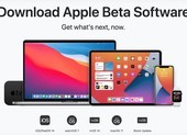 Cách cài đặt iOS 14 beta không cần tài khoản nhà phát triển