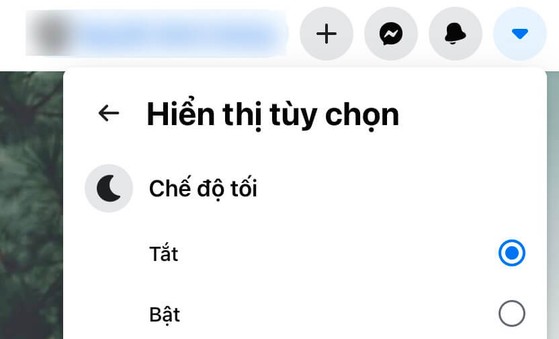 bat-che-do-toi-tren-trinh-duyet