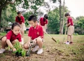 Chương trình chạy bộ vì cộng đồng quyên góp hơn 3 tỉ ảnh 1 Nhiều hành động ý nghĩa nhằm cải thiện môi trường