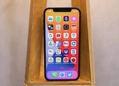4 dự đoán thú vị về ngành ứng dụng di động trong năm 2021 ảnh 3 Người dùng iPhone nên cập nhật iOS 14.4 ngay lập tức