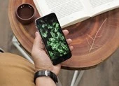Cách 'hô biến' iPhone 7 Lock giá 5 triệu thành quốc tế ảnh 3 Tầm 3-5 triệu, nên mua iPhone nào?