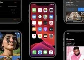 Có nên mua iPhone 11, 11 Pro và 11 Pro Max bây giờ không? ảnh 1 Danh sách các thiết bị được nâng cấp lên iOS 13 và macOS 10.15